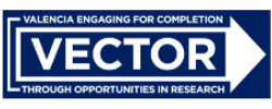 Vector Logo