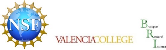 Valencia College NSF seal
